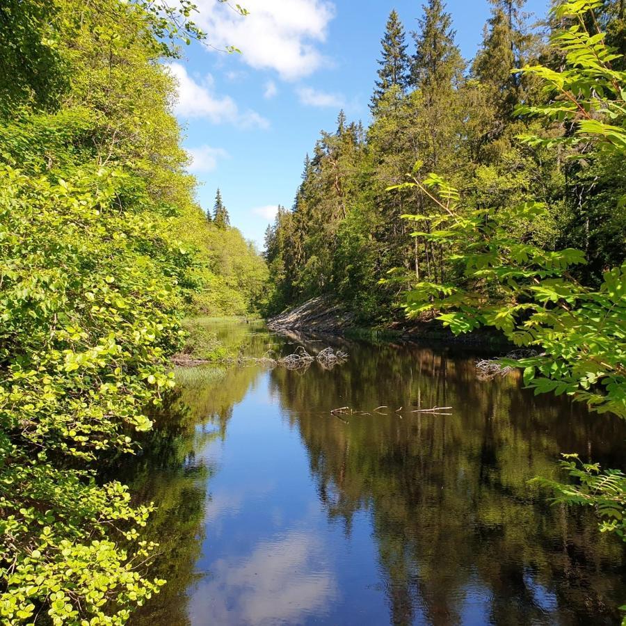 Cabin Near Lake And Beautiful Nature Reserve. Bodafors Eksteriør billede