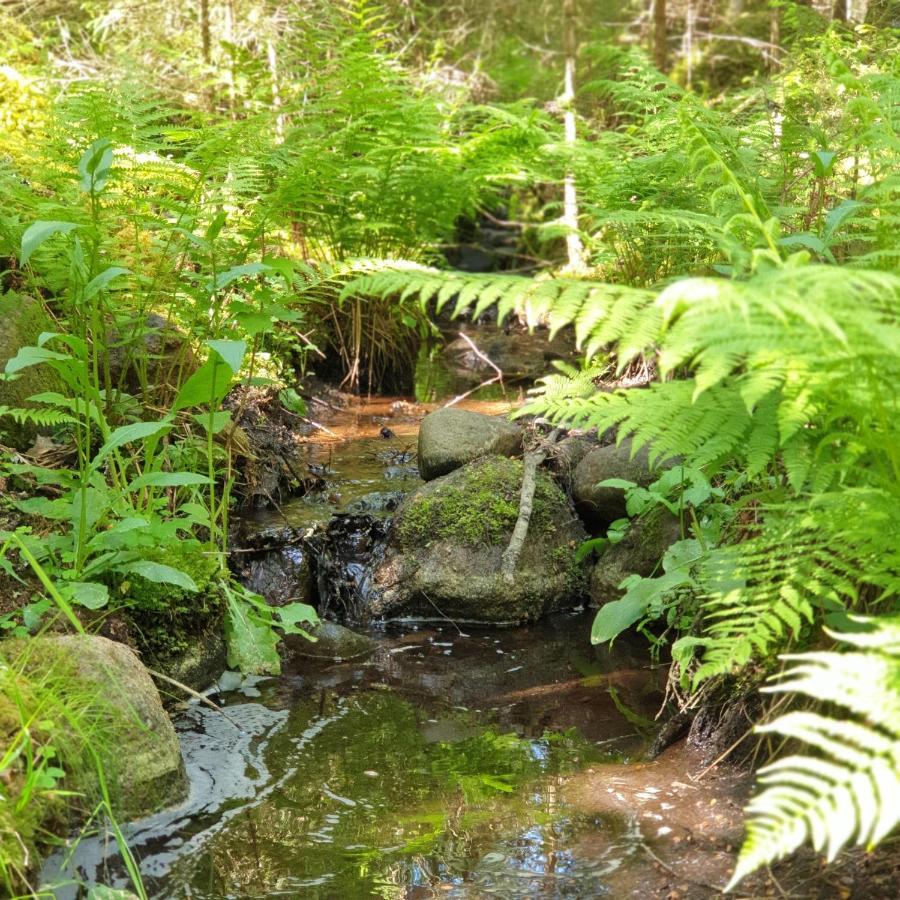 Cabin Near Lake And Beautiful Nature Reserve. Bodafors Eksteriør billede